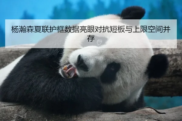 杨瀚森夏联护框数据亮眼对抗短板与上限空间并存